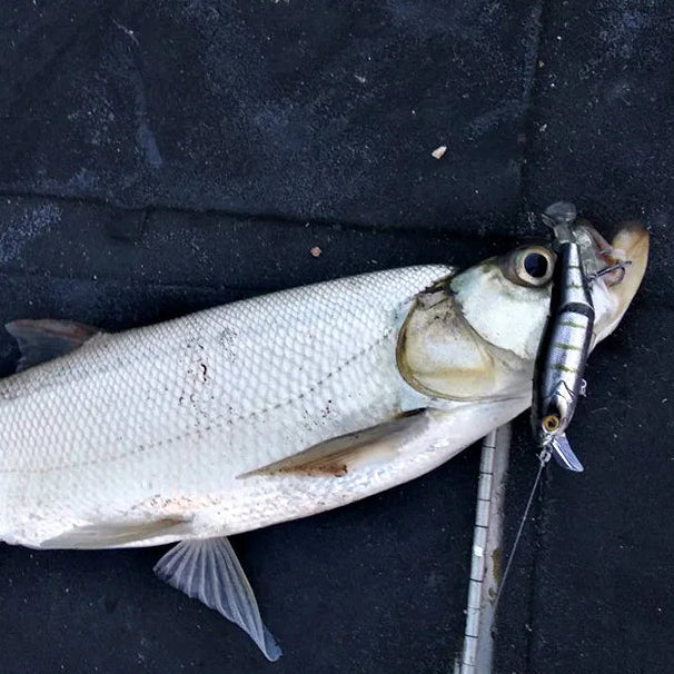 Jointed Floating Minnow Fishing Lure